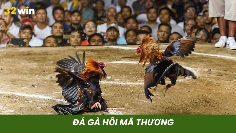 Đá hồi mã thương sẽ đánh lừa đối thủ