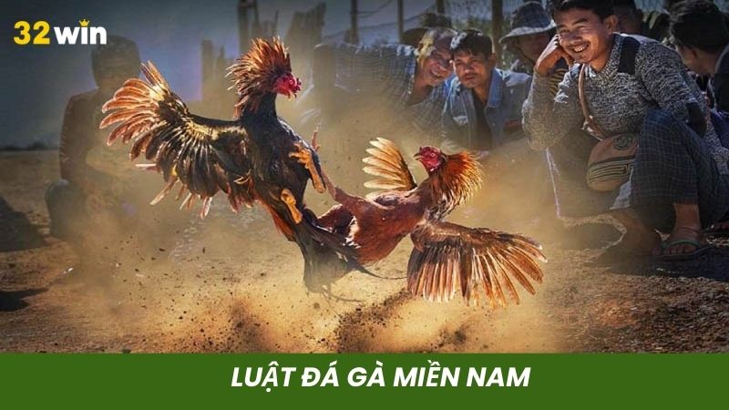Luật đá gà theo kiểu miền Nam