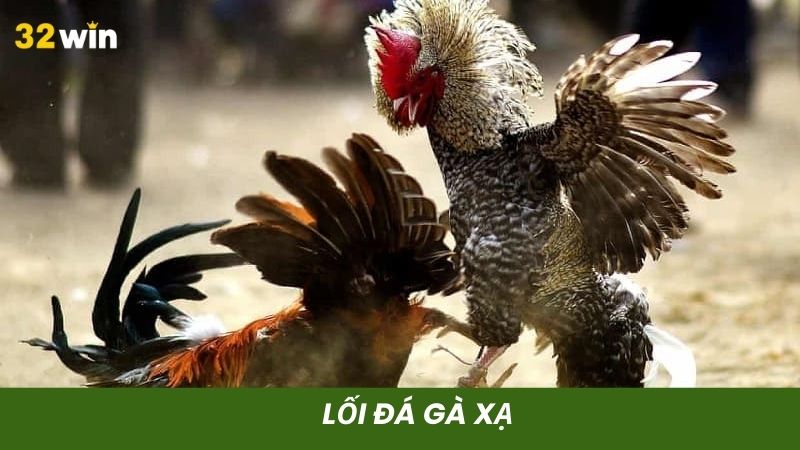 Lối đá xạ sẽ tấn công vào các bộ phận hiểm yếu